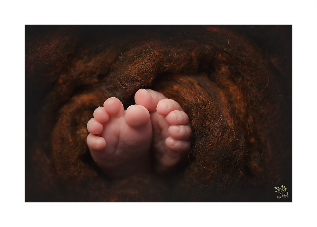 Puyallup baby photography